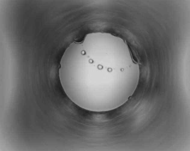 X0000114240283200910161640