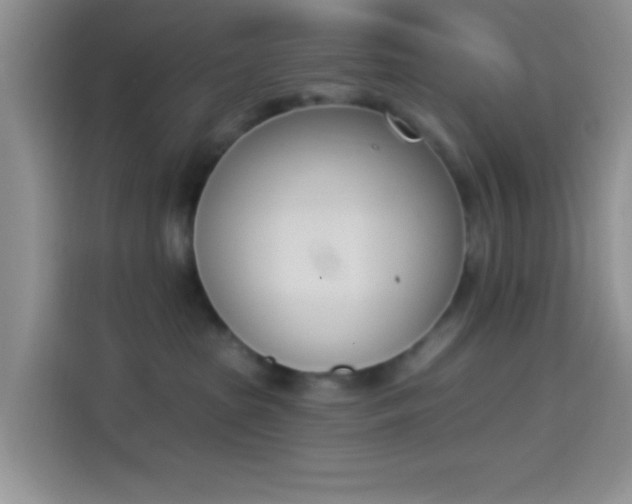 X0000114240285200910161640
