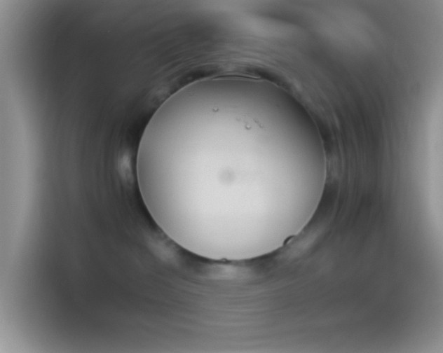 X0000114240286200910161640