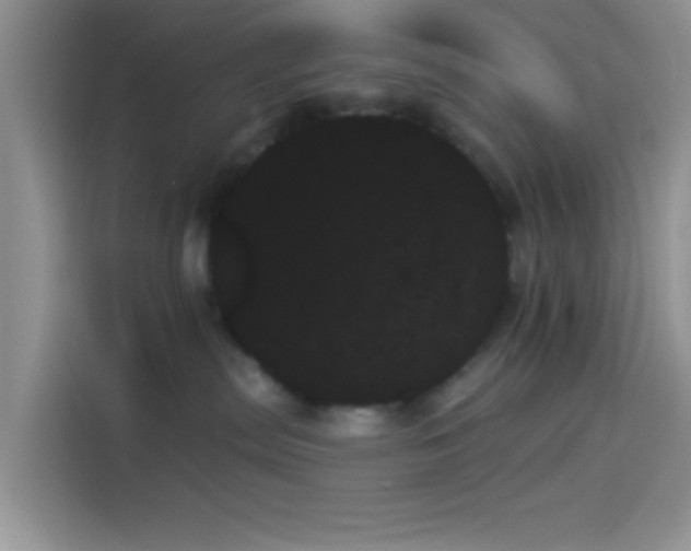 X0000114240287200910161640