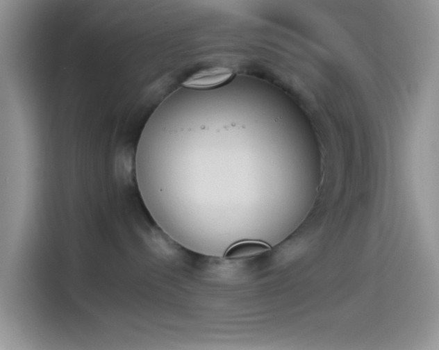 X0000114240288200910161640