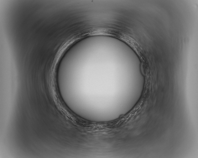 X0000114240289200910161639