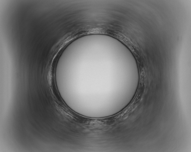 X0000114240290200910161639