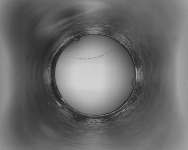 X0000114240291200910161639