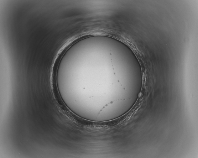 X0000114240292200910161639