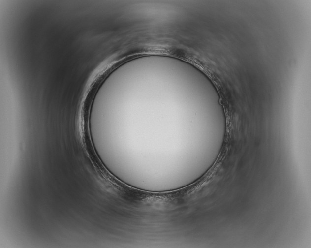 X0000114240294200910161639