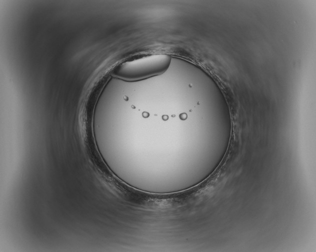 X0000114240295200910161639