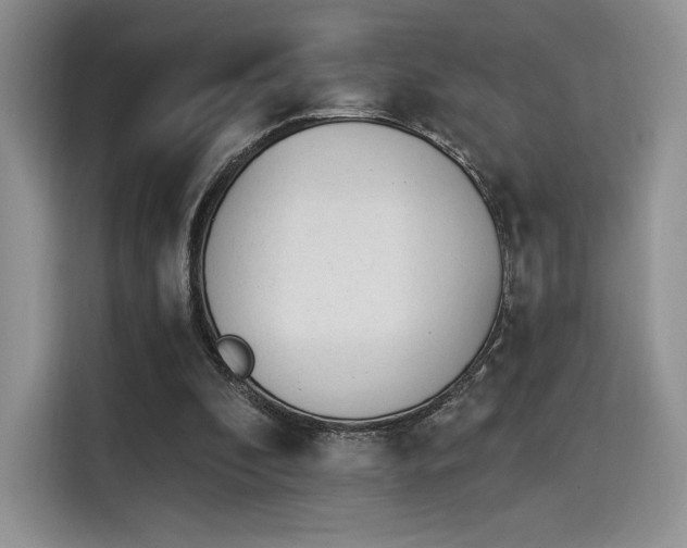 X0000114240296200910161639