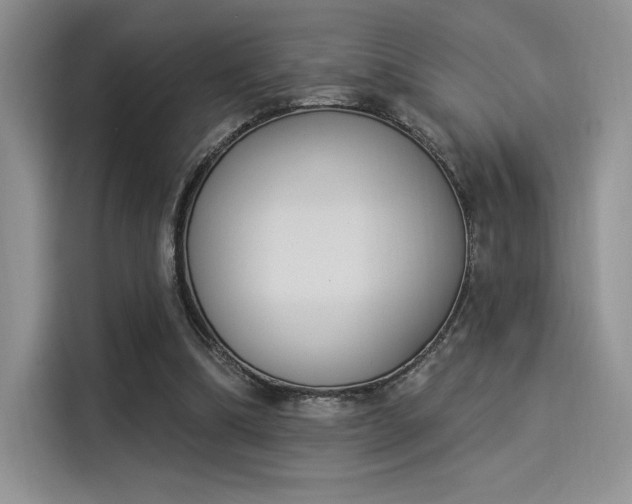 X0000114240298200910161639