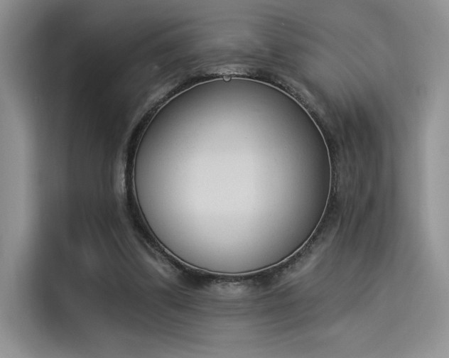 X0000114240299200910161639