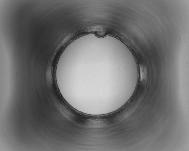 X0000114240300200910161639