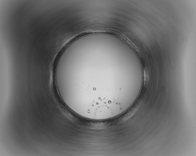 X0000114240301200910161639