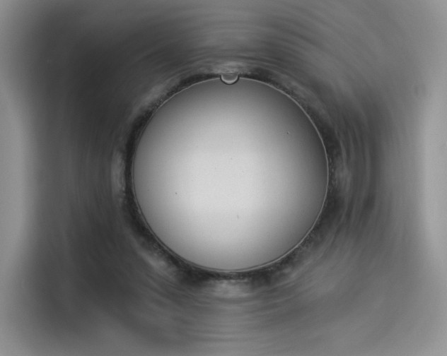 X0000114240303200910161639