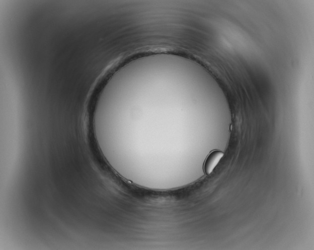 X0000114240304200910161639