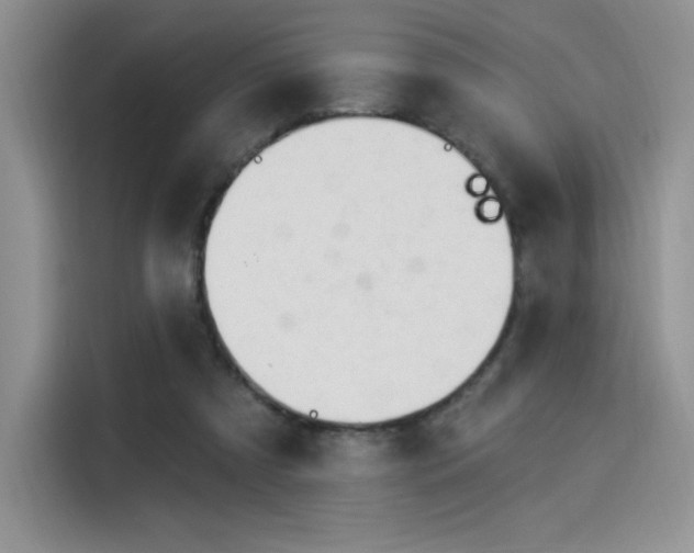 X0000114240305200910161639