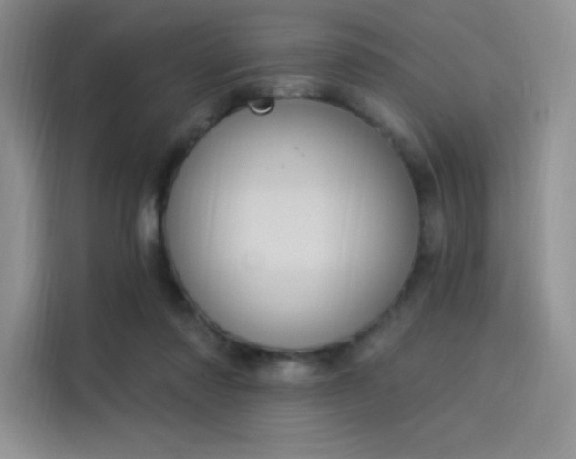 X0000114240310200910161639