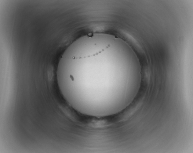 X0000114240311200910161639