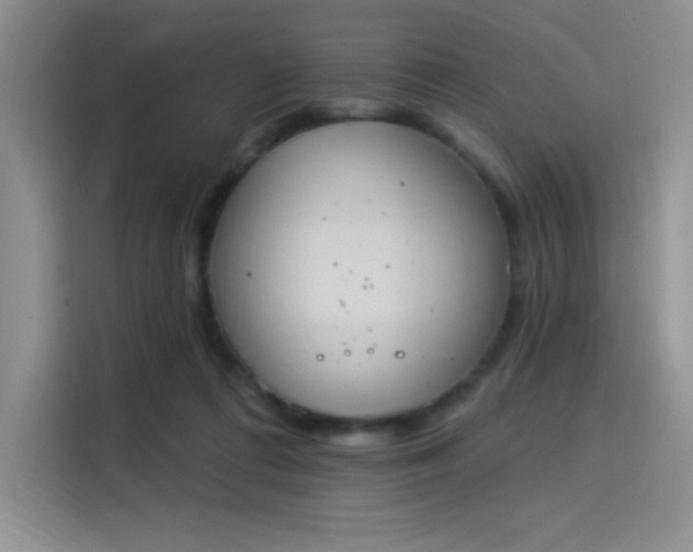 X0000114240312200910161639