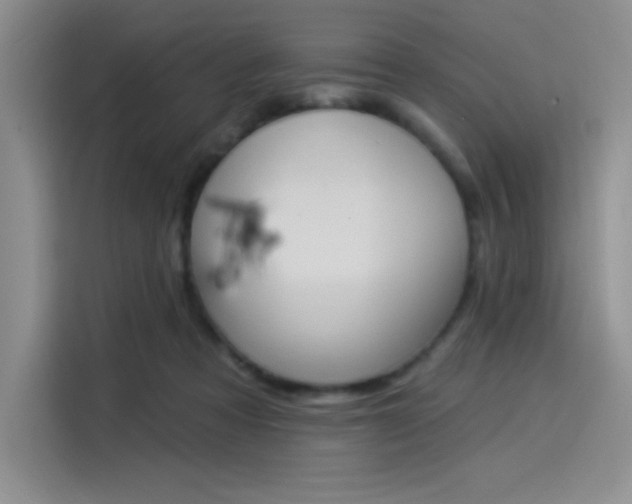 X0000114240313200910161639