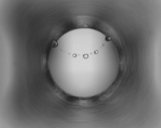 X0000114240314200910161639
