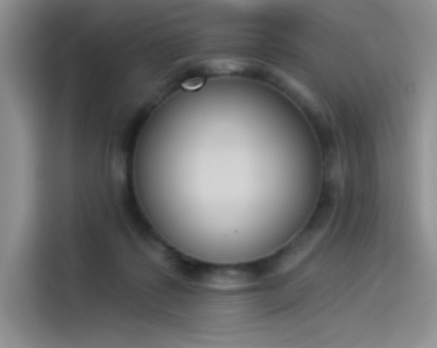 X0000114240315200910161639