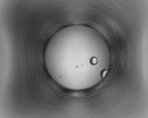 X0000114240317200910161639