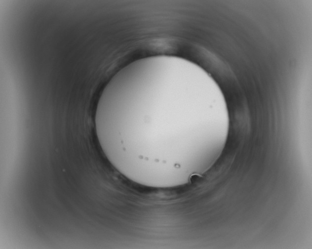 X0000114240320200910161639