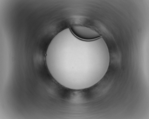 X0000114240324200910161639