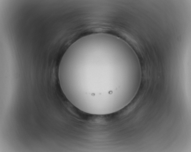X0000114240325200910161639