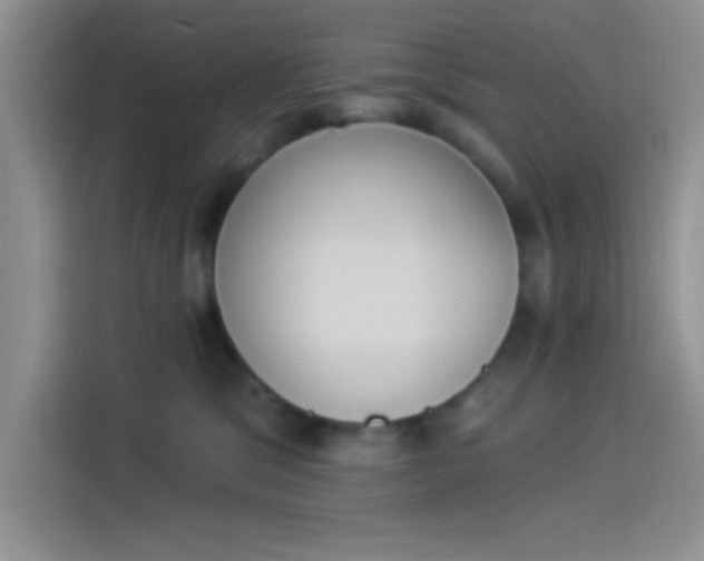 X0000114240329200910161639