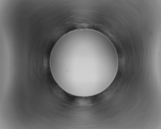 X0000114240331200910161639
