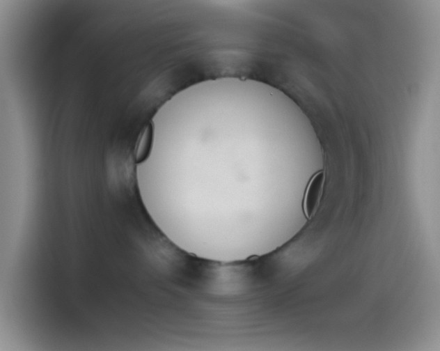 X0000114240336200910161639