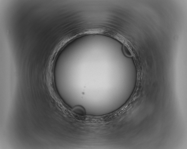 X0000114240337200910161638