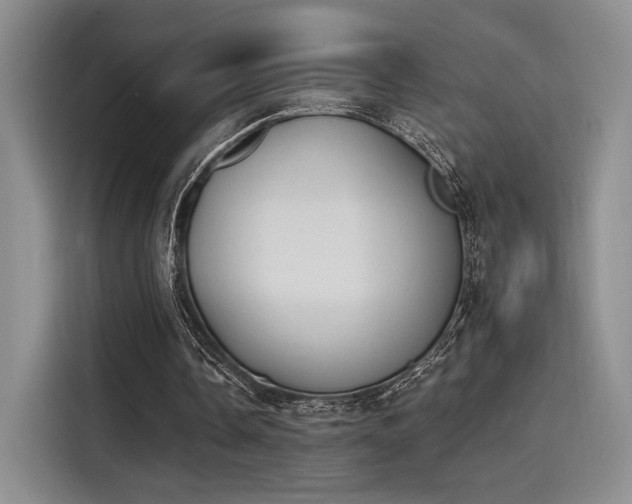 X0000114240338200910161638