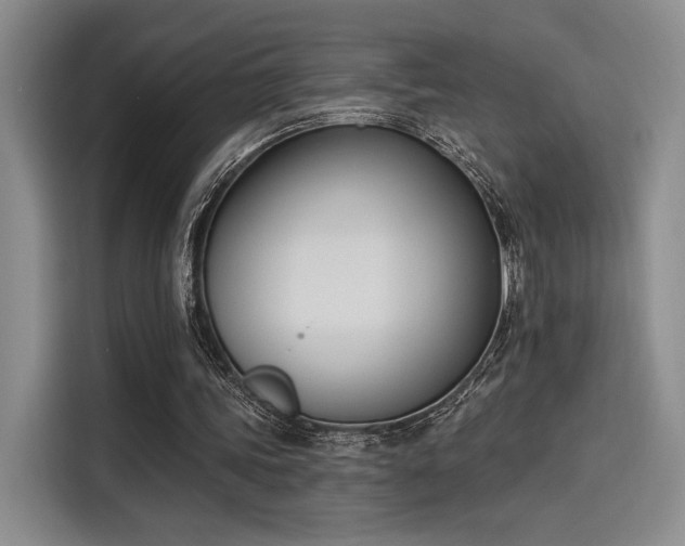 X0000114240339200910161638