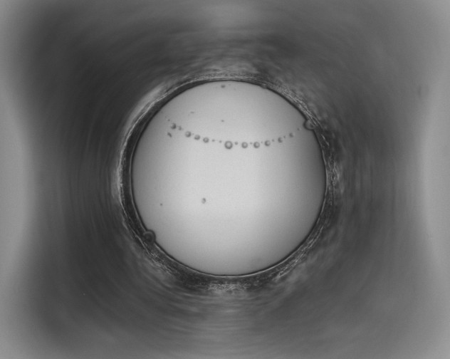 X0000114240340200910161638