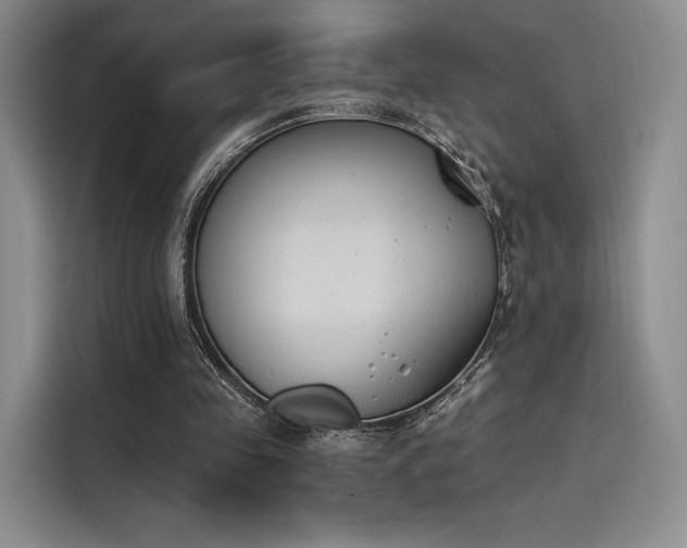 X0000114240341200910161638
