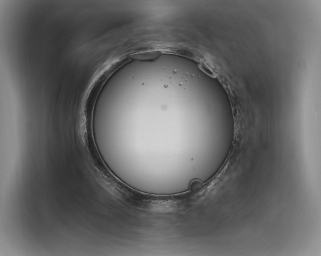 X0000114240342200910161638