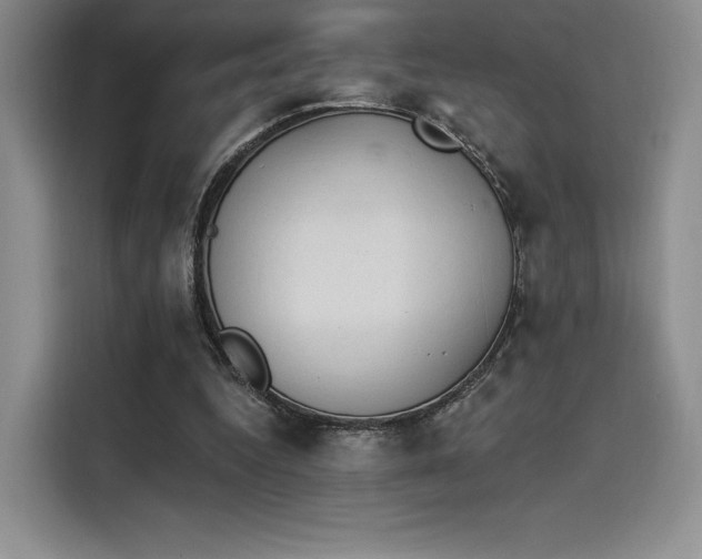 X0000114240344200910161638