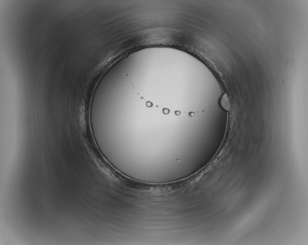X0000114240345200910161638