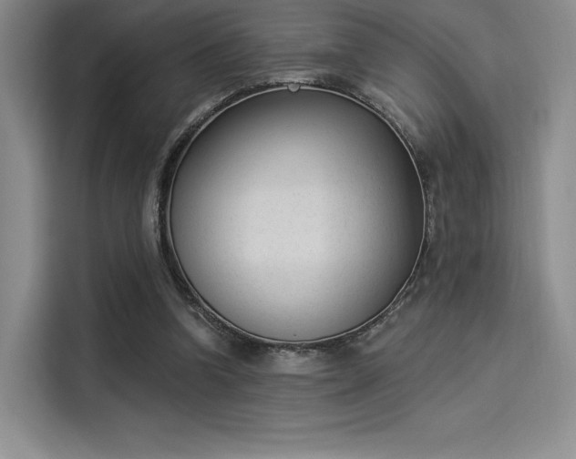 X0000114240346200910161638