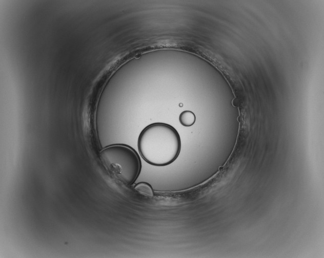 X0000114240347200910161638
