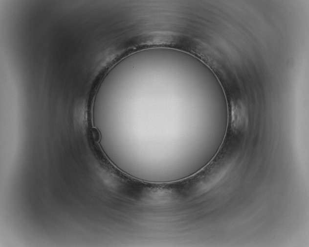X0000114240348200910161638