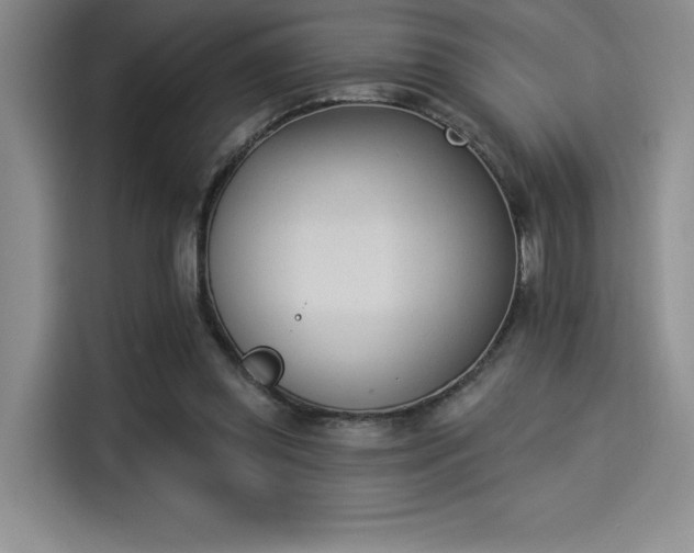 X0000114240349200910161638