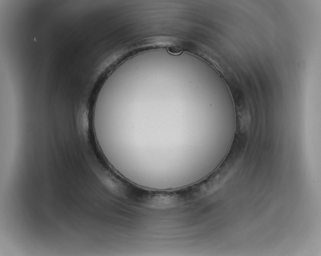 X0000114240350200910161638