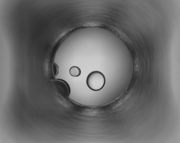 X0000114240351200910161638