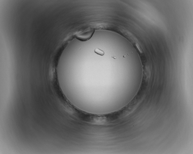 X0000114240355200910161638