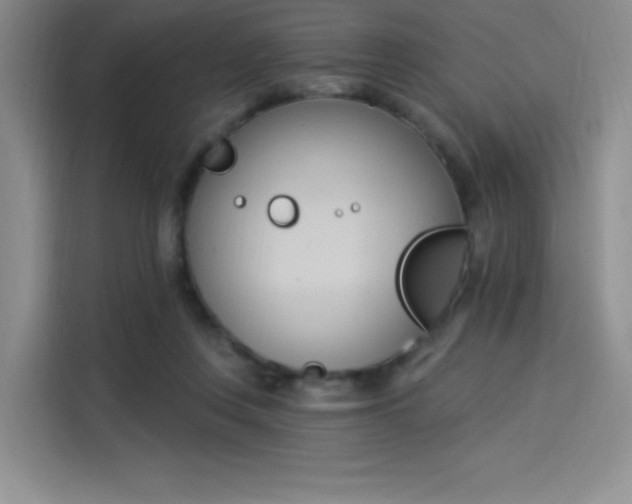 X0000114240359200910161638
