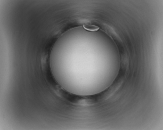 X0000114240364200910161639