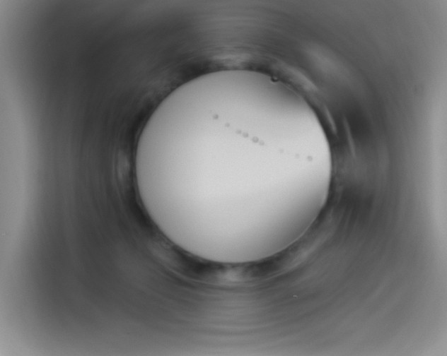 X0000114240365200910161639